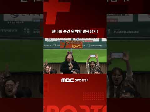I 2026 <strong>삼척</strong> 전국 대학장사 씨름대회 korea ssireum