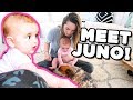 SURPRISING BABY WITH A NEW PUPPY! WE ADOPTED!!