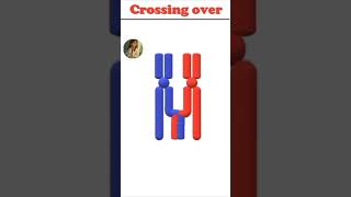 Cross over | homologous chromosome #meiosis #crossover @Dr.Ajbiotech