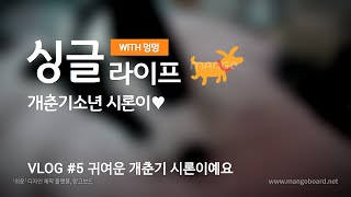 불량소년 보더콜리 시론이😜 by 독재자 위티 135 views 4 years ago 3 minutes, 54 seconds