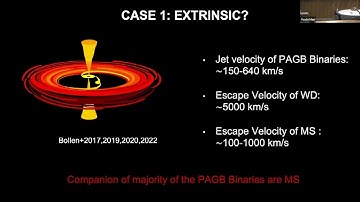ACES Do Intrinsically s-process Enriched Evolved Binaries Exist? - Meghna Menon (Macquarie)