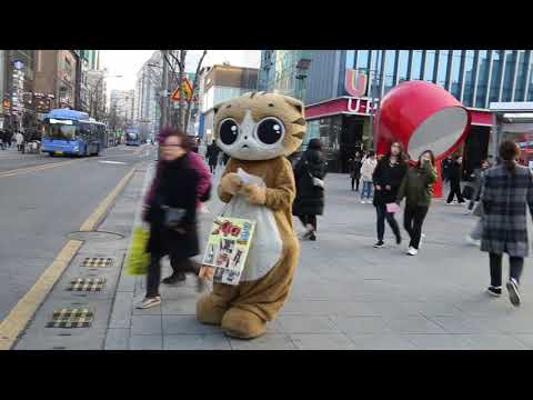JHKTV] 신촌 명물고양이 몸이 근질 근질  shin chon special <strong>cat</strong> My <strong>body</strong> is itching.