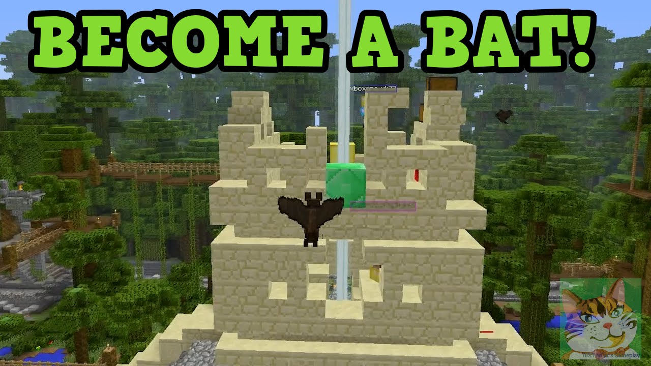 Minecraft Bat Spectator Mode Battle Mini Game Youtube