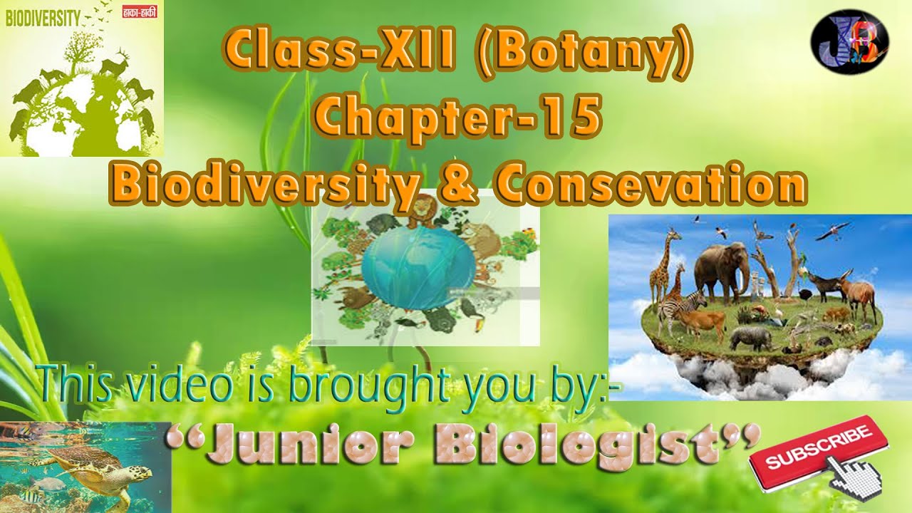Biodiversity and conservation. #One short - YouTube