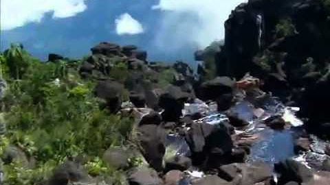 How Can I Be Sure Lyric Video version - Lyric Video performance video thumbnail