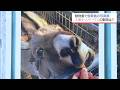 飼育員が撮影した動物たちのベストショットは? 宮崎市フェニックス自然動物園で「飼育スタッフのとっておき写真展」