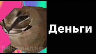 Ты купил: