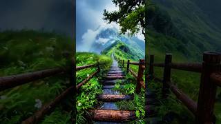 पहाड़ी का जिंदगी का सुकुन #trevel parsonal #blogger #video