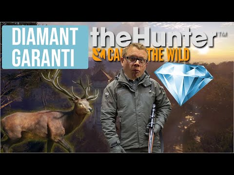 DIAMANT GARANTI? | The Hunter Call of The Wild