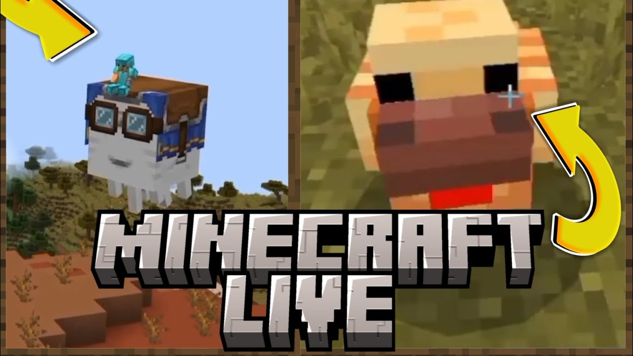 Bahas Update Yang Ada Di Minecraft Live!!! - YouTube