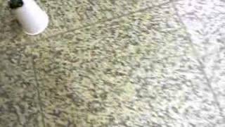 WiDOM Demo I