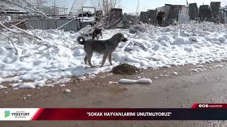 Havalar Soguk, Kar Bereketi Var Ve Biz Onları Unutmadık