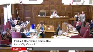 Committee Meetings (2)