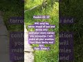 Powerful Prayer of faith | Lord God fight my Battle #prayer #faith #Jesus
