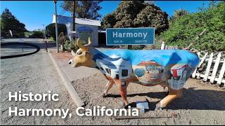 The quirky, abandoned settlement of Harmony, California
Just off the Pacific Coast Highway (California Route 1) is this tiny little community called Harmony. It isnt necessarily a ghost town, but not many people live there either. Instead, Harmony is a touristy place with a few spots to offer. At one time, Harmony was a prominent dairy community until the 1950s. Today, it is a brief stop for some PCH travelers. The quirky, abandoned settlement of Harmony, California