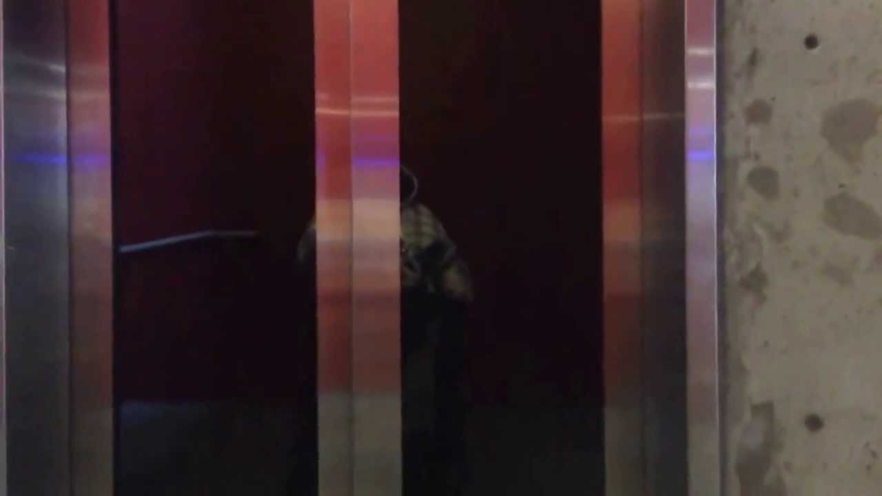 Get off at New Westminster Station