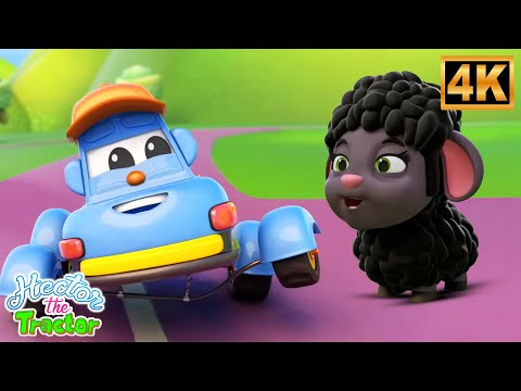 ฮีคเตอร์ รถแทรกเตอร์ - แกะดำ Baa Baa Black Sheep | เพลงเด็กสนุกเพื่อการเรียนรู้
