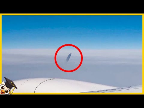 Video: Wat is de langste vlucht van een luchtvaartmaatschappij ter wereld?