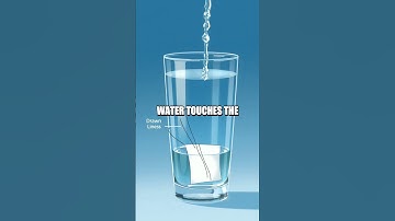 Chromatography Experiment with Filter Paper