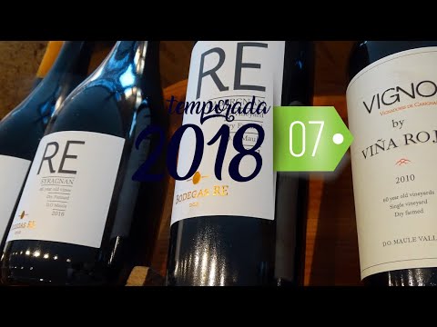 Ep. 07 - O Dia das Viñas - Temporada 2018 - Chile a La Carte