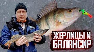 Жерлицы и Балансир. Щука и Окунь. Рыбалка в декабре