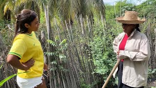 MENINA REBELDE MENOSPREZA MULHER A PROCURA DE EMPREGO-veja…