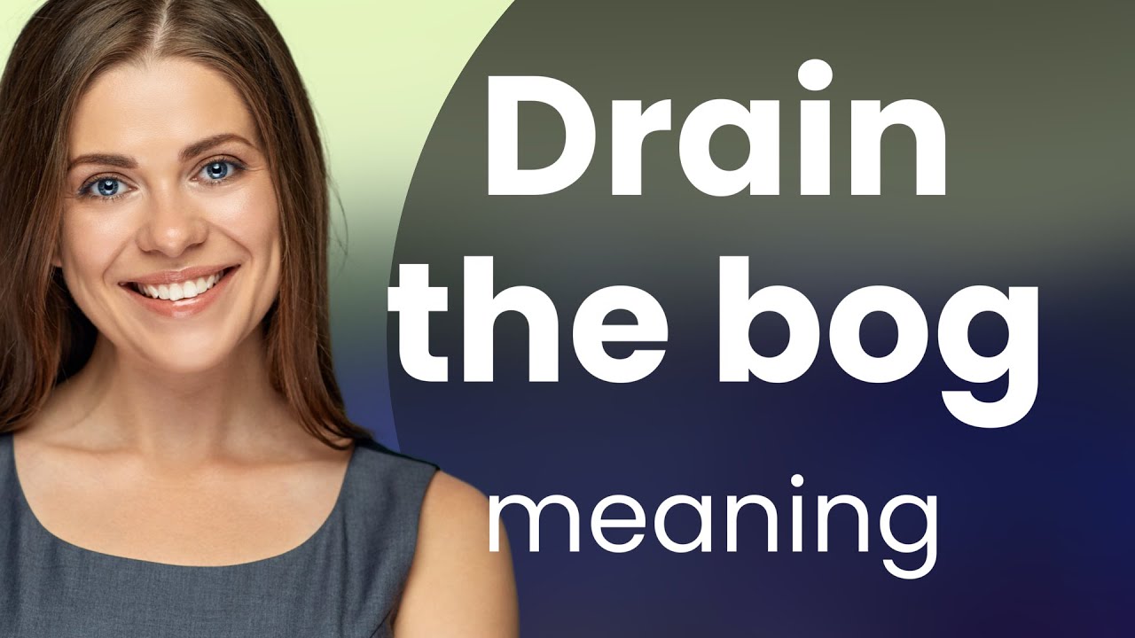 Drain the Bog: Understanding English Idioms - YouTube