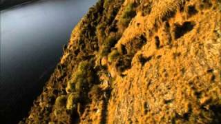 Jack's Point Film