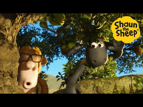 LIVE 🚨 NEW FULL EPISODES🐑 Cartoons for kids, Preschool, Shaun the Sheep, Pranks, Christmas LIVE 🚨 NEW FULL EPISODES🐑 Cartoons for kids, Preschool, Shaun the Sheep, Pranks, Christmas