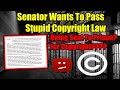 Senator Wants To Pass Law Sending Youtubers And Twitch Streamers To Prison For Copyright Violations