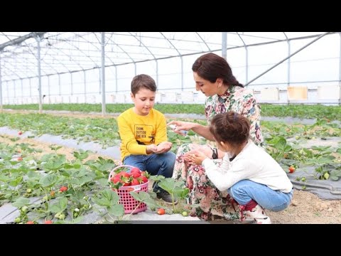 \"ელექსირი\" სტუმრად \"მაგემმესთან\"