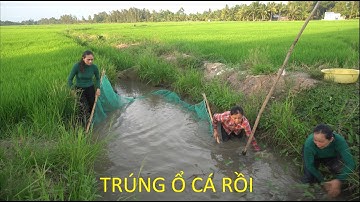 798 / Ra Sòng Bơm Kéo Lưới Bắt Cá Dính Thấy Ham