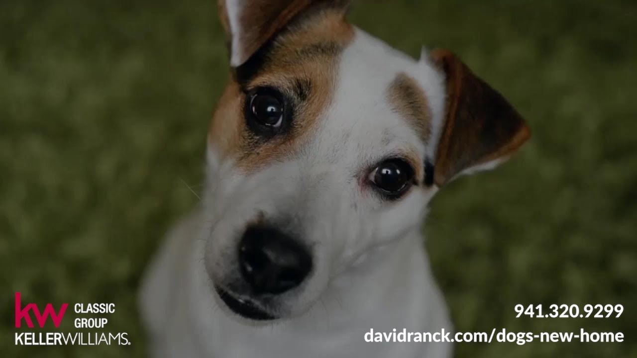 Ultimate Home Buyers Guide