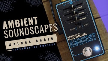 Walrus Audio Fundamental Ambient Reverb Pedal Demo