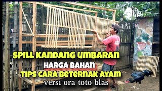 Revealed! Cost of Materials for a DIY Chicken Run | Ora Toto Blas