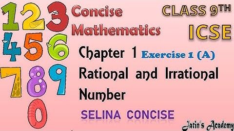 Chapter 1 Rational and Irrational Numbers Exe 1 A class 9th icse maths selina concise in hindi