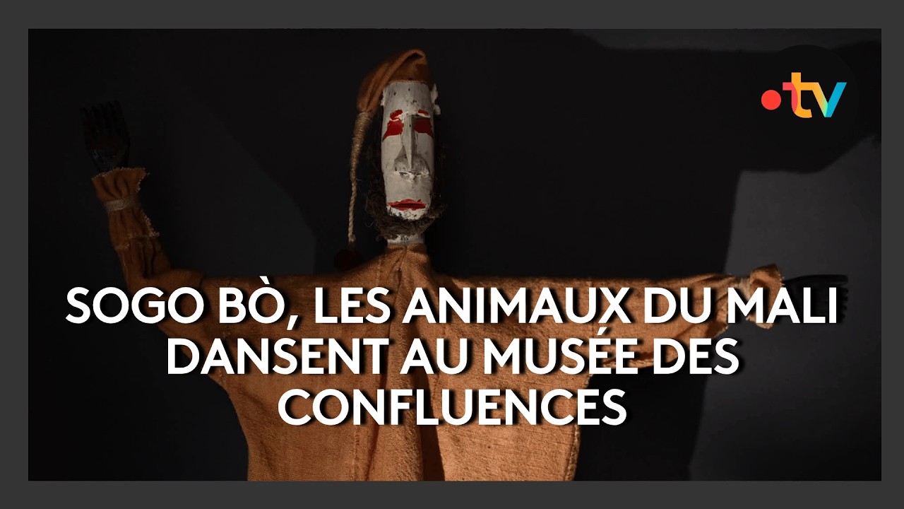 Avec le Sogo bò, les animaux du Mali dansent au Musée des Confluences