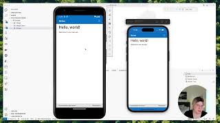Walkthrough of MAUI Blazor Hybrid app - Fluent UI and Web API backend