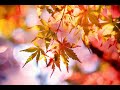 музыка осени ( music of autumn )
