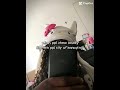 here’s a song to get to know about me!