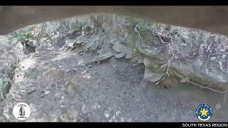 DPS K-9 Tracks Down Illegal Immigrants On Private Ranch In Webb Co.