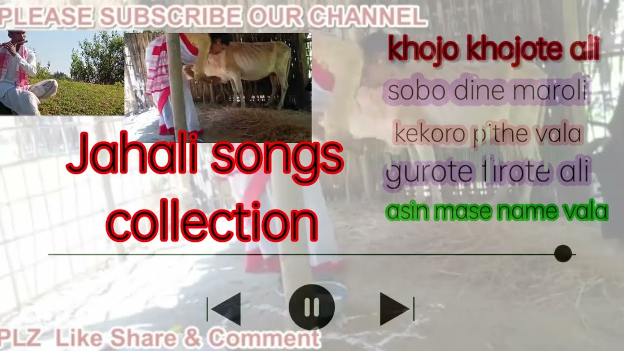adivasi jahali songs// collect by @BaganiyaKalakar