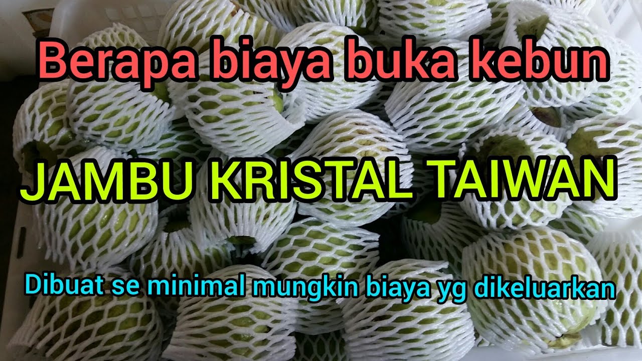 Laundry Modal Usaha Awal Laundry Modal Usaha Awal