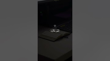 اكتشف نعمة السكينة والهدوء من خلال تلاوة القرآن الكريم