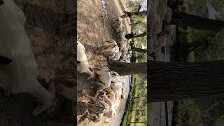 All India Trip78 Kashmir