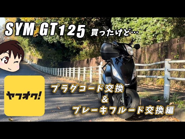 6【低走行？】ヤフオクで台湾爆速スクーターを買ったけど 。プラグ