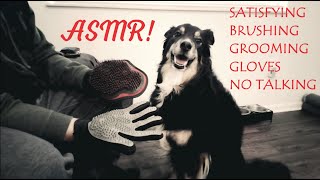ASMR 🐶 Satisfying Dog Brushing, Grooming Coat, Gloves, Loose Hair Removal (no talking, lofi, relax)
