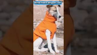 Whippet Winter Vest #foryou #doglife #dogvideos