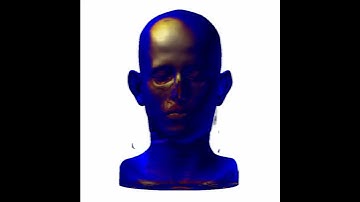 Illustrative Context-Preserving Volume Rendering (2)