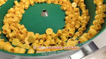 O-ring assembly machine#machine #Automated equipment#factory #automation